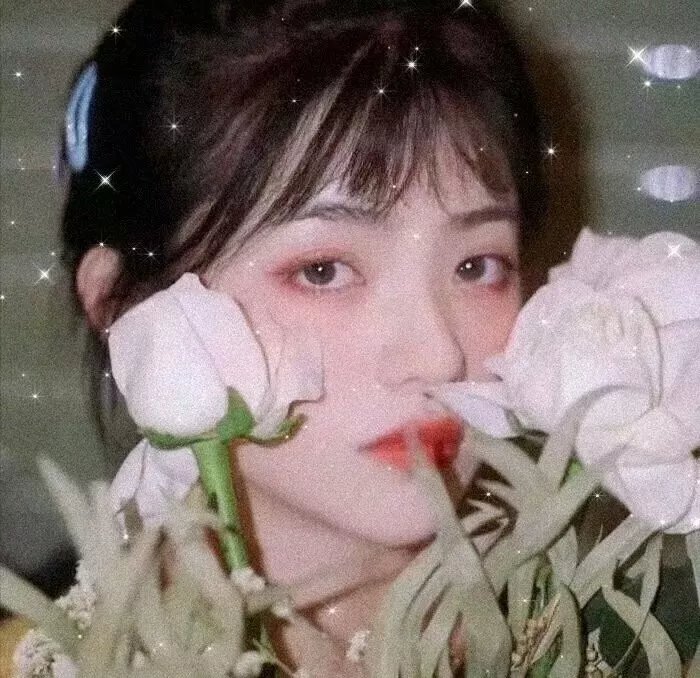 月歌行