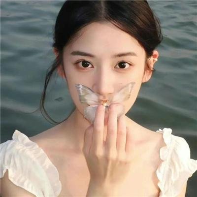 热播剧集